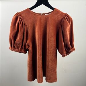 THML Rust Puff Sleeve Velvet Top – Size S